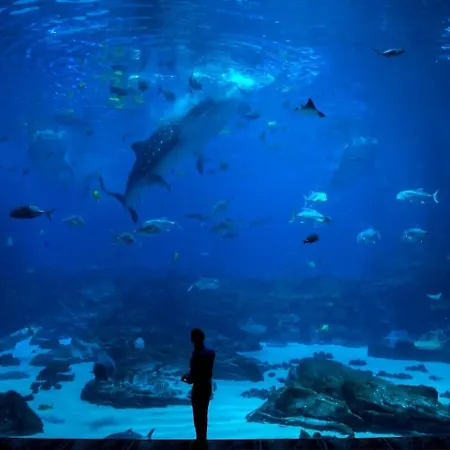 Ateneo By Silastur ヒホン