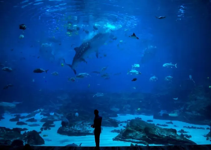 Ateneo By Silastur Gijón